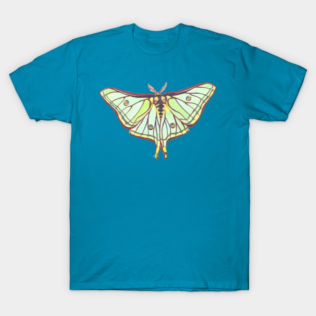 Luna Moth T-Shirt by Tinker and Bone Studio